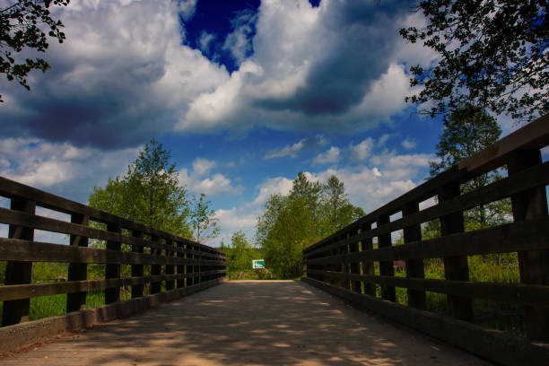 Old wooden bridge over the river, tourist trail, summer landscape