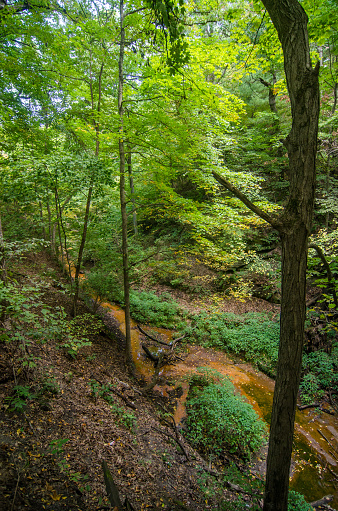 Starved Rock SP - French Canyon Trail - View of Stream Below.jpg