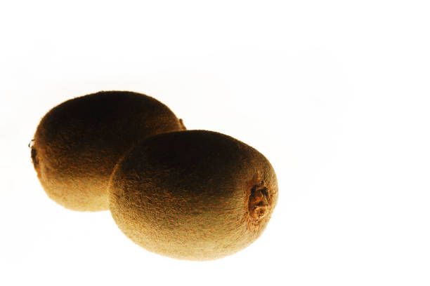 kiwi fruit, two kiwi fruit isolated on white background with space for text