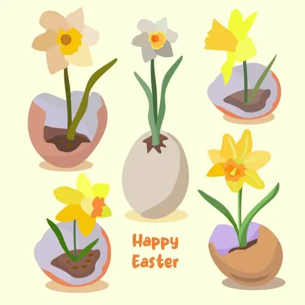 Vector illustration of Set of daffoldis growing in an eggshell