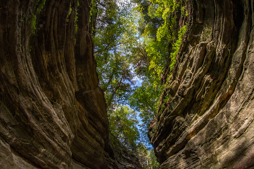 Starved Rock SP - French Canyon Trail - Fisheye View Looking Down the Canyon