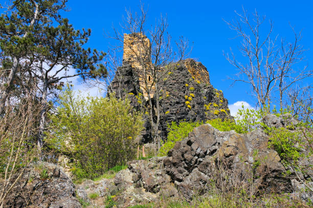 Medieval castle ruins on the Somló Hill on a sunny day in springtime.