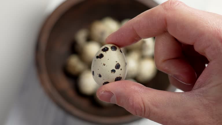 Raw quail egg in chef hand. Raw farm ingredients close up. Selective focus