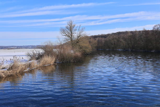 beautiful winter's day in the sauerland - czerwonki zdjęcia i obrazy z banku zdjęć