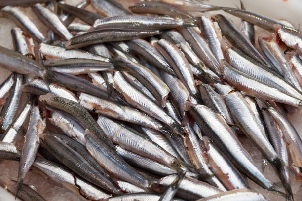istock fish market with many different fresh fishes 2084536172