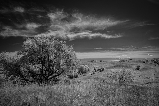 These black and white landscapes shot in the infra-red spectrum were taken in the Ukrainian village of Trakhtemiriv in the summer of 2022