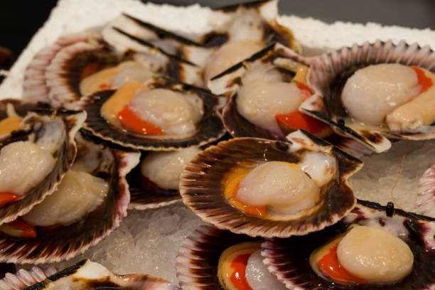 istock fish market with many different fresh fishes 2084543173