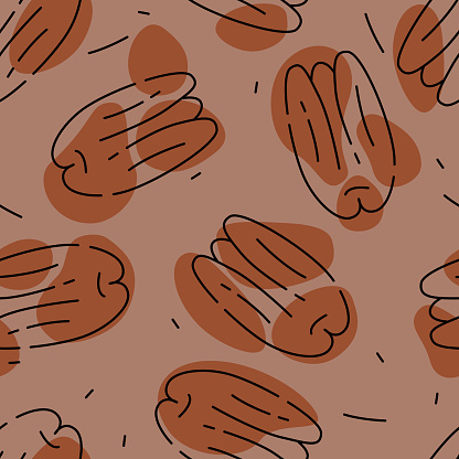 Seamless pattern with Pecans nuts. Vector illustration on white background