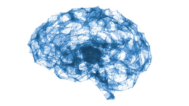 istock Digital data and network connection of blue color human brain 2084565047