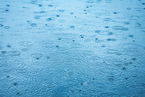 Raindrops creating circular ripples on a calm blue body of water during gentle rainfall