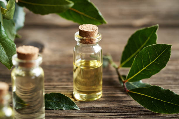 istock A bottle of aromatherapy essential oil with fresh bay leaf 2084630150