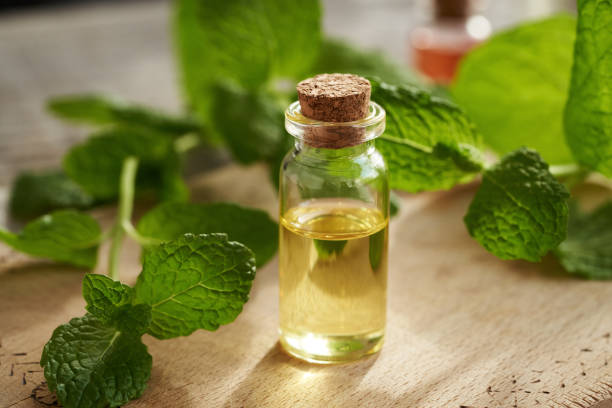 istock A bottle of aromatherapy essential oil with fresh peppermint leaves 2084631203