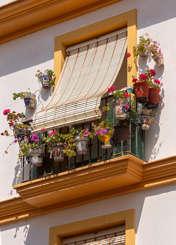 A beautifully decorated balcony with flowers on the white facade of a house in Cadiz. Spain. Andalusia.