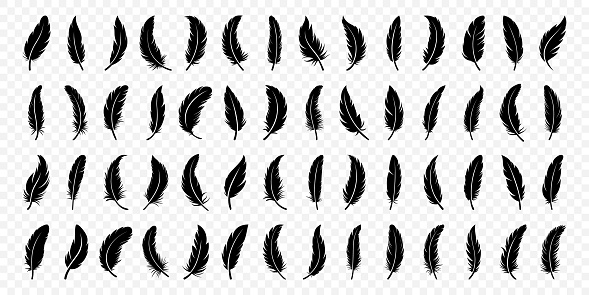 Vector Black and White Fluffy Feather Logo Icons. Silhouette Feather Set Closeup Isolated. Design Template of Flamingo, Angel, Bird Feather Collection. Lightness and Freedom Concept.