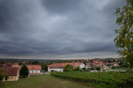 Panorama of Villany seen from the moutains at fall. Villany Mountains (Villanyi-hegyseg) is a relatively low mountain range located west from the town of Villány, in Baranya county, Southern Hungary. Villány is a town in Baranya County, Hungary that is famous for its wine. Residents are Hungarians, with minority of Croats, Serbs and Germans of Hungary. Until the end of World War II, the inhabitants were Danube Swabians, also called locally as Stifolder, because their ancestors once came around 1720 from Fulda.