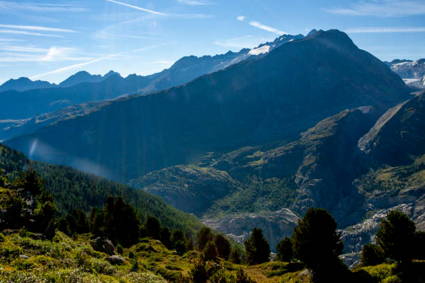 Jungfrau-Aletsch protected area, Bernese Alps, Switzerland