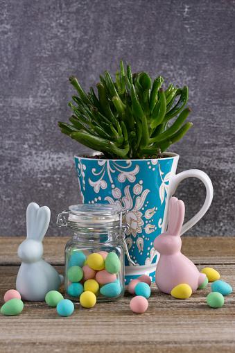 Beautiful blue floral cup with succulent plant (crassula ovata (mill.) druce) on the wooden brown table and glass jar with Easter chocolate colorful egg-shape candies and two bunny figurines.