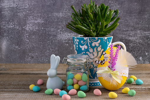 Easter composition of beautiful blue floral cup with succulent plant (crassula ovata (mill.) druce) on the wooden brown table and glass jar with chocolate colorful egg-shape candies, blue bunny figurine and big yellow craft decorated egg.
