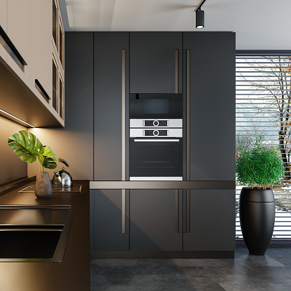 Modern and minimalist apartment interior kitchen. Kitchen on two walls. Dark materials matte finish. Luxury style. 3d renderings.