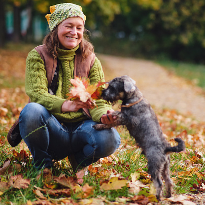 Woman playing with her dog in the autumn park and throwing leaves.