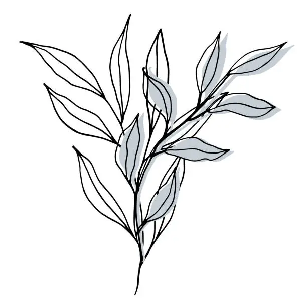 Vector illustration of vector composition with leaves and branch. Elegant art for decoration. ink hand drawing botanical illustration for backgrounds. Template for wedding cards, polygraph, logo, tattoo.