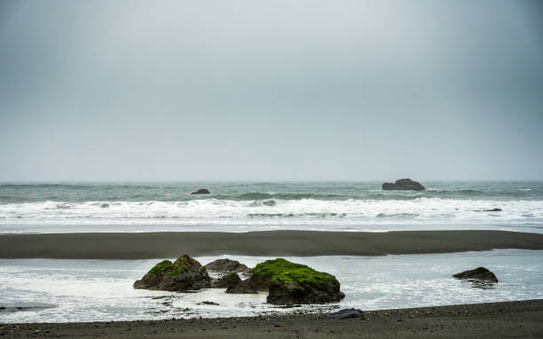Bright Green Moss Covers Rocks In The Surf At Low Tide in Redwood National Park