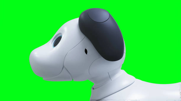 Female humanoid robot walking robot dogs outside the house.