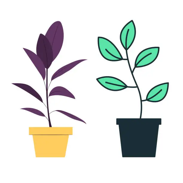Vector illustration of Vector organic flat houseplant collection.