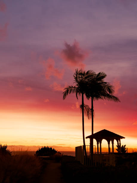 Silhouette of palm trees and a gazebo durning a beautiful California sunset