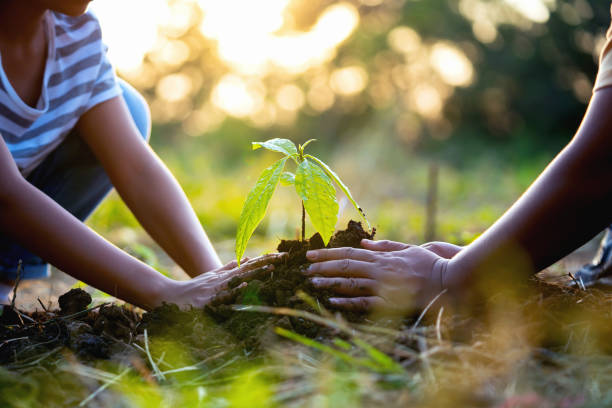 Two people are planting a tree together