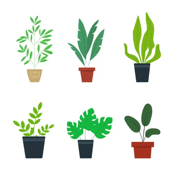 Vector illustration of Vector organic flat houseplant collection