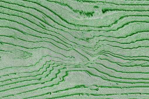 Beautiful curly plaster texture, abstract background with copy space. Green plaster with a pattern close-up.