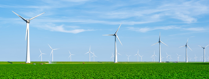 Windmill farm in the green meadow of the Noordoostpolder Netherlands, a huge row of windmill turbines