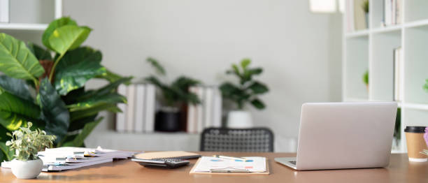 istock Empty workplace with desk and plant in office room, copy space. work from an atmospheric home office full of green plant 2085137150