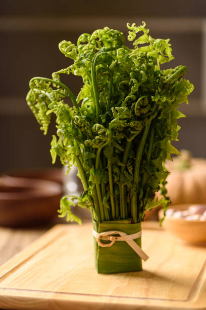 Asian Edible fern or fiddlehead fern from local farmer market, Healthy Leaf vegetable in spring season stock photo