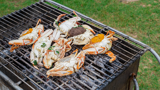 Blue swimming crab grilled