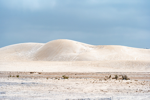 Sand dunes of Denmark on a sunny summer day. White desert sand. Scandinavian dunes. Bright blue sky and sand dunes.