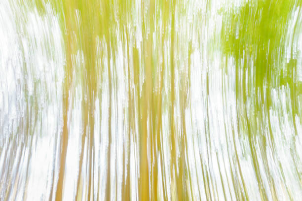 istock Nature abstrtact images of bamboo 2085238878
