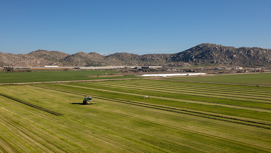 Alfalfa field seen from aerial viewpoint being harvested  in Menifee southern California United States