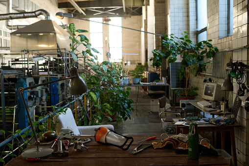 No people interior shot of post-apocalyptic workshop in abandoned building with green plants growing in pots, old computers and tools on tables