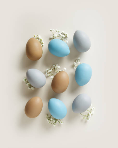 istock Easter Aesthetic with Matte Eggs and Delicate Florals, painted chicken egg decorated white flowers, top view on beige background, spring holiday concept. Minimal style pattern in pastel tones 2085327680