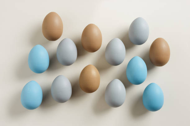 istock Pastel Easter Eggs as minimal pattern with white blooming Flowers on beige color, top view colorful chicken egg. Easter celebration concept. Festive food, still life holiday, aesthetic flat lay 2085327682