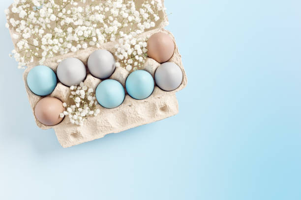 istock Easter Egg Assortment in Carton with White Baby's Breath on Light Blue Background. Pastel colored dyed eggs in package, spring holiday photo, tender soft hues, celebration food and white flowers 2085327686