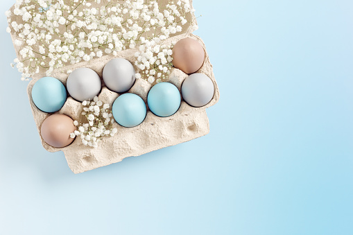 Easter Egg Assortment in Carton with White Baby's Breath on Light Blue Background. Pastel colored dyed eggs in package, spring holiday photo, tender soft hues, celebration food and white flowers