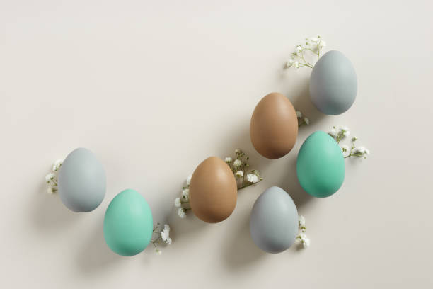 istock Elegant Easter Composition with Pastel Eggs and Spring Blossoms, still life Dyed eggs in soft pastel colors, top view spring holiday minimal creative pattern, neutral earth colored image, above 2085327691