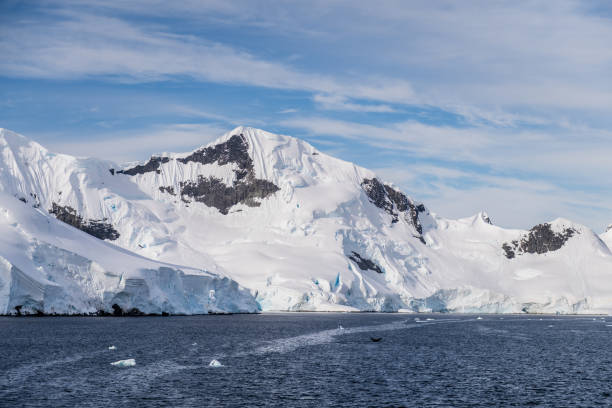istock Antarctic landscape with diving humpback whales 2085336775