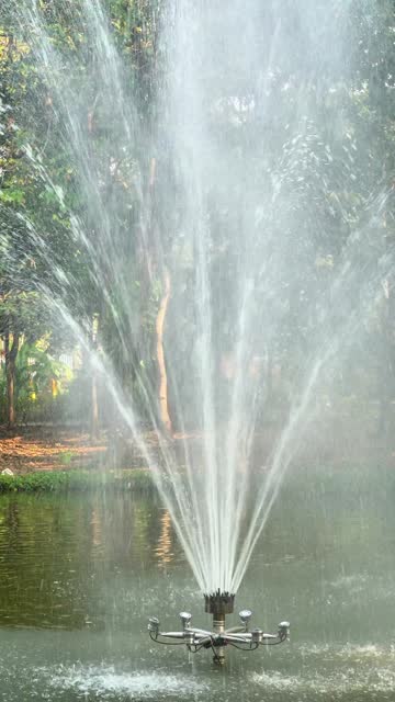 Vertical video footage of a fountain in the middle of a large pool spraying water in a public exercise park, Chiang Mai, Thailand.