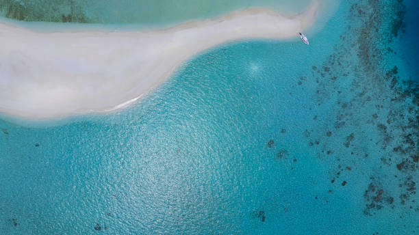 The tropical Summer with Sand bank  while relaxing on vacation as white sand beach  in the lagoon background