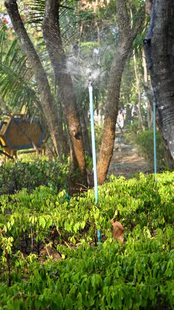 Vertical video footage of watering nozzles spraying water in a public exercise park, Chiang Mai, Thailand.
