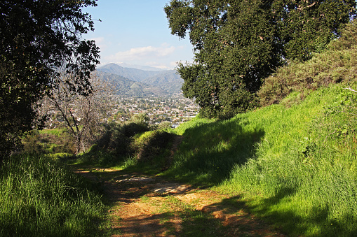 A glimpse of Glendora, California, from the North Spur Trail in South Hills Park.